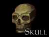 Skull - updated
