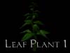 Leaf Plant